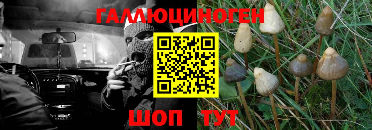 Галлюциногенные грибы Cubensis  Галлюциногенные грибы Magic Shrooms  Гусев  что такое наркотик  Вход с VPN 