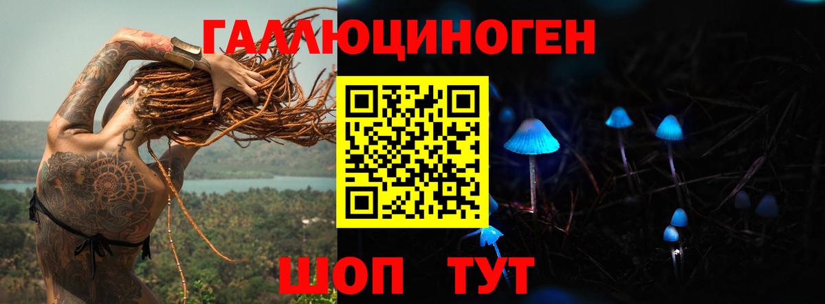 Галлюциногенные грибы GOLDEN TEACHER Гусев